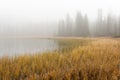 Cutthroat Lake in the fog.