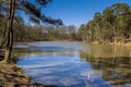 Cutthroat pond Rambouillet Forest France