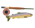 Cutthroat Trout with Fly Rod
