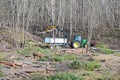 cutting area in forest with green tractor lifting trunks on trailer