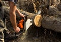 Cutting a big branch