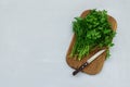 Cutting boar with fresh green parsley and dill or fennel on gray wooden board. Top view. Copy space. Harvesting concept Royalty Free Stock Photo