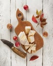 Cutting board with different kinds of cheeses Royalty Free Stock Photo