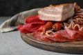 Cutting board with different meat delicacies on gray Royalty Free Stock Photo