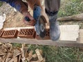 Cutting bricks with an angle grinder in a rural yard Royalty Free Stock Photo