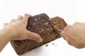 Cutting Brown Bread Royalty Free Stock Photo