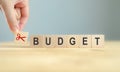 Cutting budget strategy. Reducing expenses to maintain financial stability, help businesses achieve