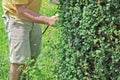 Cutting of bushes Royalty Free Stock Photo