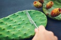 Cutting cactus leaves with prickly pear or cactus fruit. Exotic healthy food on grey background. Top view