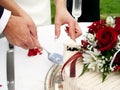 Cutting the cake Royalty Free Stock Photo