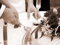 Cutting the cake - horizontal sepia Royalty Free Stock Photo