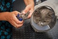 Cutting claws to a cat in a pet care salon Royalty Free Stock Photo