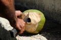 Cutting coconut