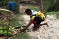 Cutting coconut