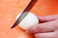 Cutting cooked egg Royalty Free Stock Photo