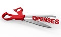 Cutting down expenses Royalty Free Stock Photo