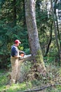 Cutting down large tree Royalty Free Stock Photo