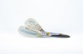 Cutting Edge: Precision Scissor Isolation Royalty Free Stock Photo