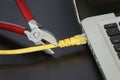 Cutting an Ethernet Cord Connected to a Laptop Computer With a Wire Cutter Tool Royalty Free Stock Photo