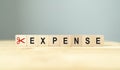 Cutting expenses and costs concept. Reducing expenses to maintain financial stability,