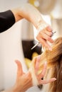 Cutting female blonde hair. Hairdresser cuts hair of a young caucasian woman in a beauty salon close up. Royalty Free Stock Photo