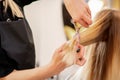 Cutting female blonde hair. Hairdresser cuts hair of a young caucasian woman in a beauty salon close up. Royalty Free Stock Photo