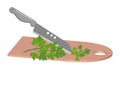 Cutting fresh green parsley with a knife on a salad board. Kitchen utensils.