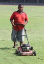 Cutting grass