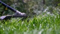 Cutting green grass with whipper snipper. Hand held grass trimmer mowing lawn. Grass shreds flying around in slow-mo