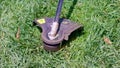 Cutting green grass with whipper snipper. Hand held grass trimmer mowing lawn. Grass shreds flying around in slow-mo