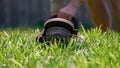 Cutting green grass with whipper snipper. Hand held grass trimmer mowing lawn. Grass shreds flying around in slow-mo