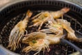 Cutting half grilled giant river prawn on stove Royalty Free Stock Photo