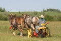 Cutting hay 2