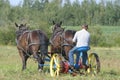 Cutting hay 3