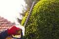 Cutting a hedge with electrical hedge trimmer. Royalty Free Stock Photo