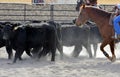 Cutting horse moves after steers