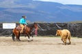 Cutting Horse Show Royalty Free Stock Photo