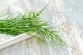 Cutting horsetail plants on a white background