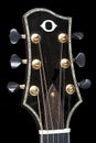 Acoustic Guitar Headstock of Abalone and Mother of Pearl Hand Cut Inlays