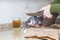 Cutting large sluggish fish. Near mug of beer