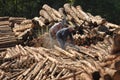 Cutting logs