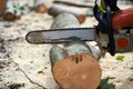 Cutting logs with the chainsaw Royalty Free Stock Photo