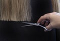 Cutting long blonde hair by scissors.Image for Barber shops, hairdresser salons Royalty Free Stock Photo