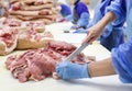 Cutting meat in slaughterhouse. The meat and sausage factory.