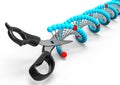 Cutting Molecule of DNA