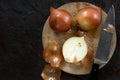 Cutting Onions on Round Board Top View on Slate Royalty Free Stock Photo