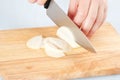 Cutting onions Royalty Free Stock Photo