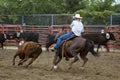 Cutting out Calf Number Four Panning and Motion Blur