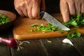 Cutting parsley with a knife on a cutting board. Cooking vegetable salad in the kitchen by the hands of a cook. The idea of a