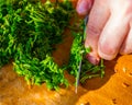 Cutting parsley